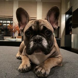 Meet your Posher, Claire